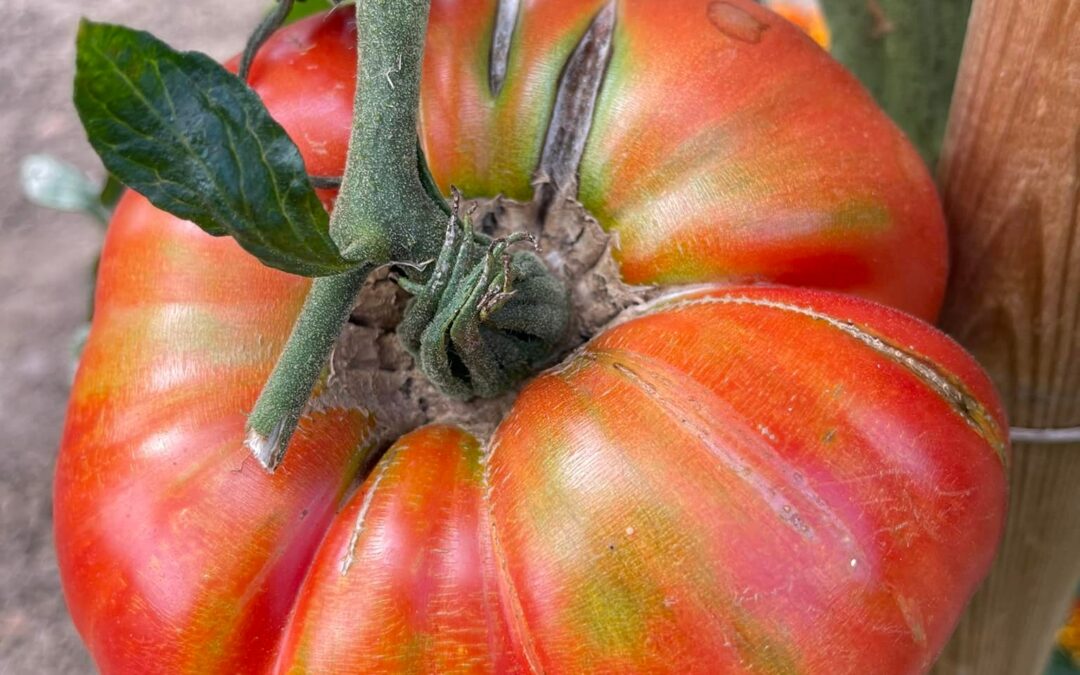 Rendez-vous au jardin