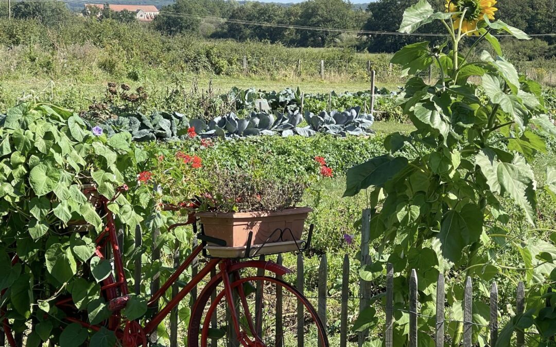 Jardin potager de la Grange de Beauvais