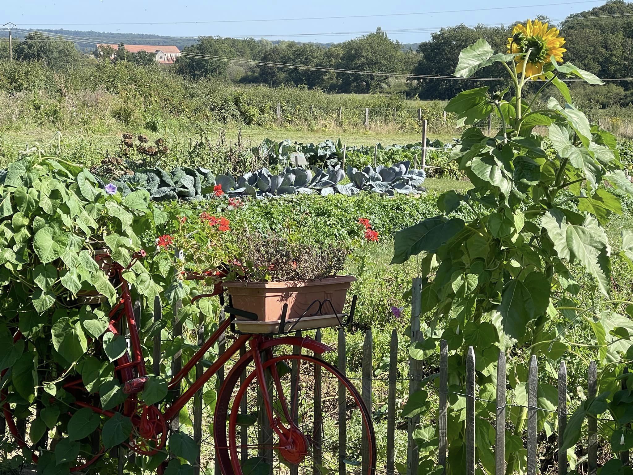 Jardin potager de la Grange de Beauvais