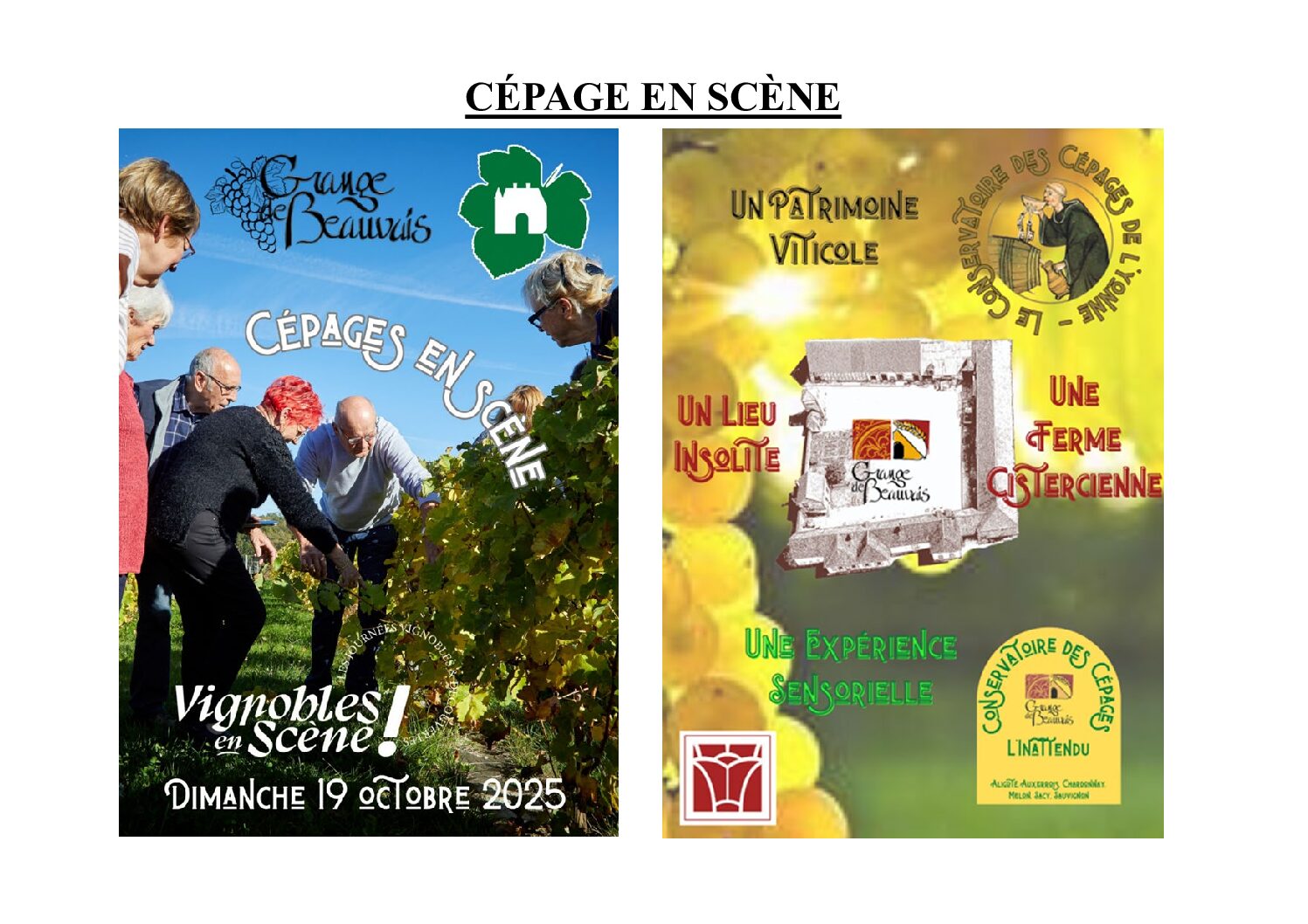 Cépages en scène
